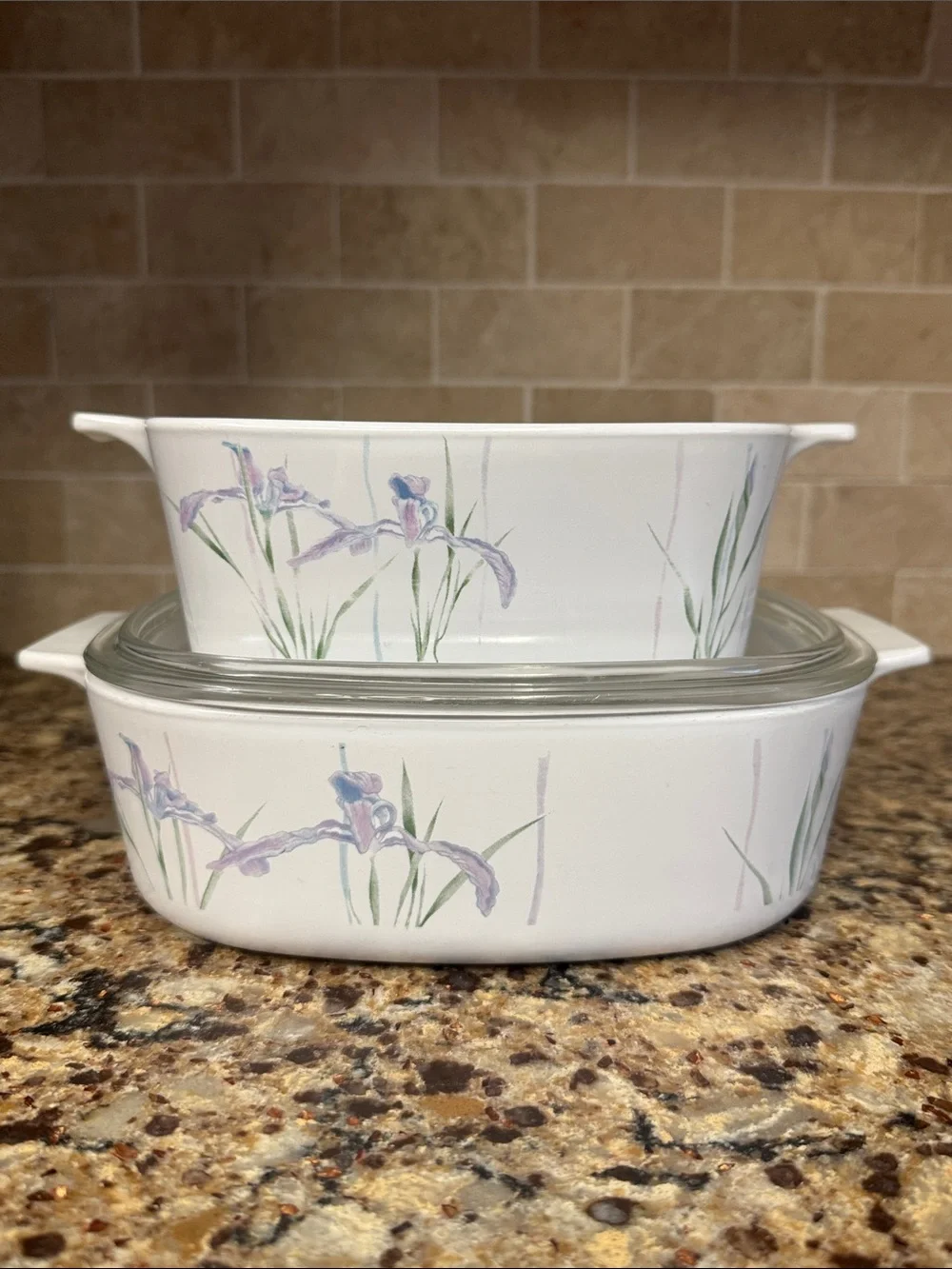 Corningware Shadow Iris Casserole Baking Dishes 1.5 & 2 Liter Set with Lid